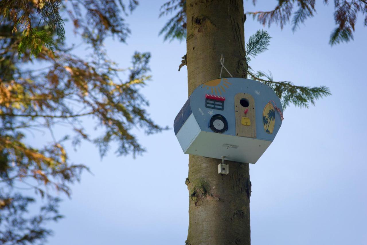 Camping Het Vossenhol Ermelo Luaran gambar